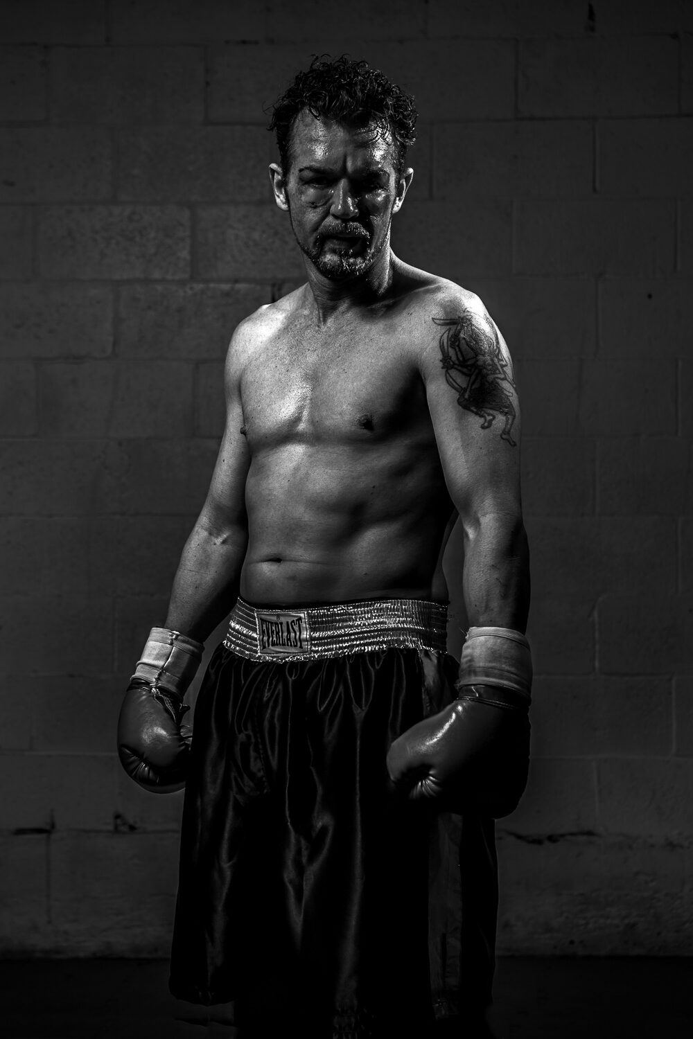 Boxer portrait, black and white