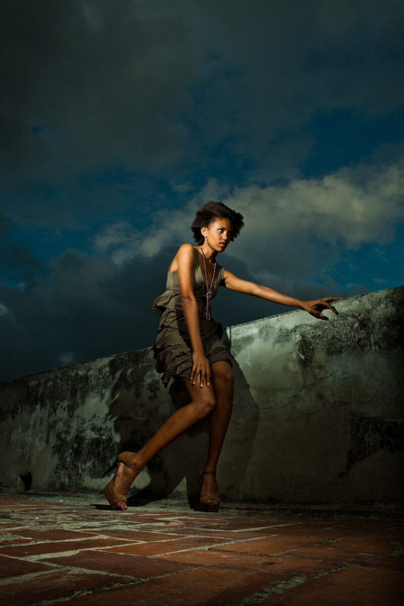 Fashion portrait on rooftop at dusk