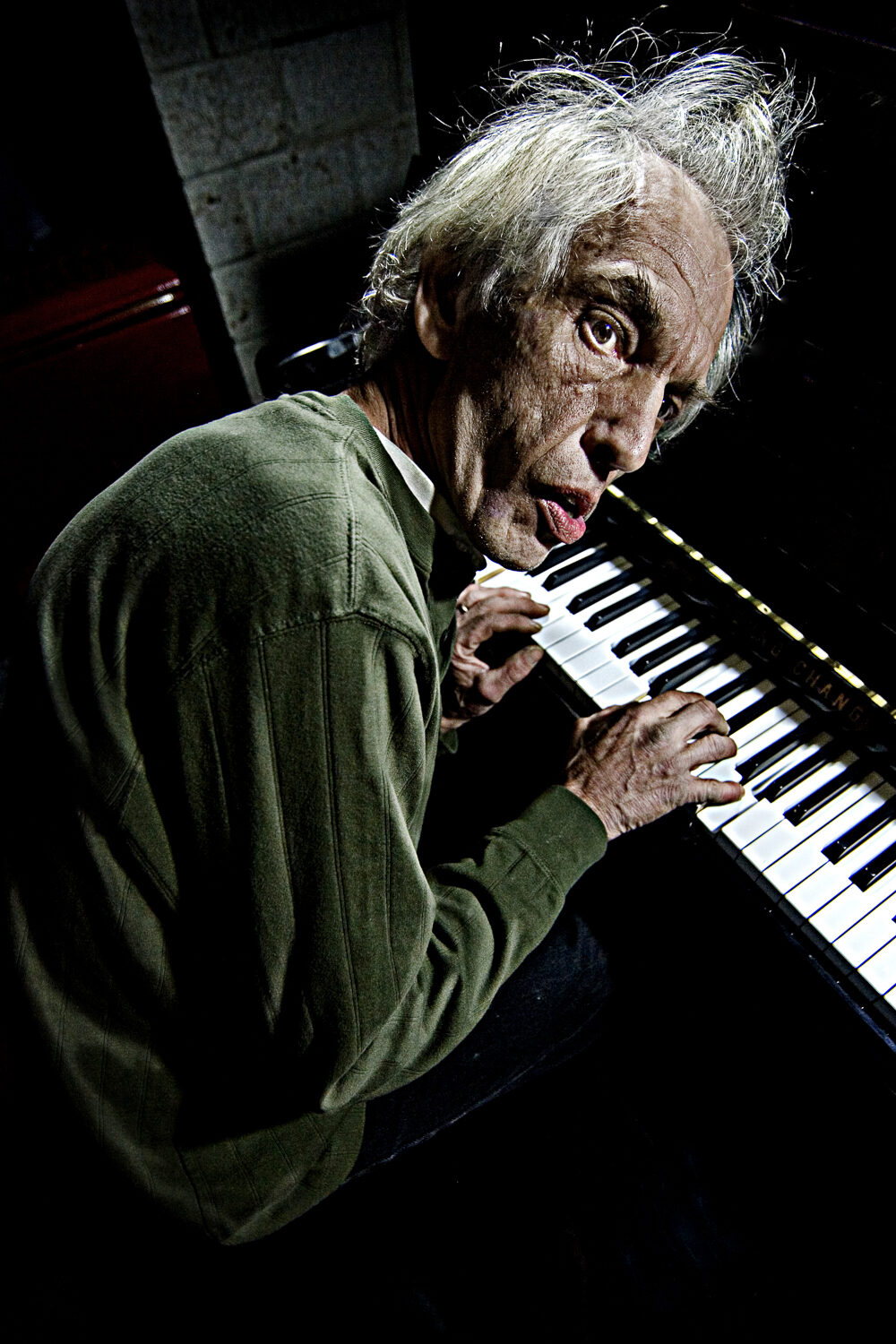 Pianist portrait at keyboard